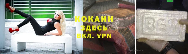 сатива Туринск