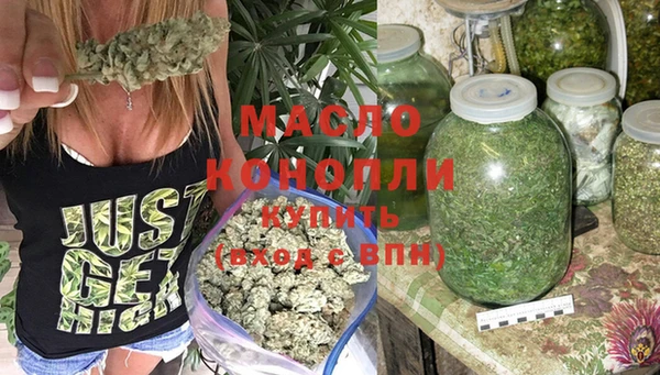 крисы Тында