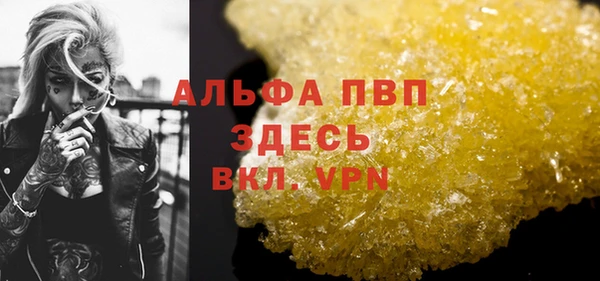 стаф Волоколамск