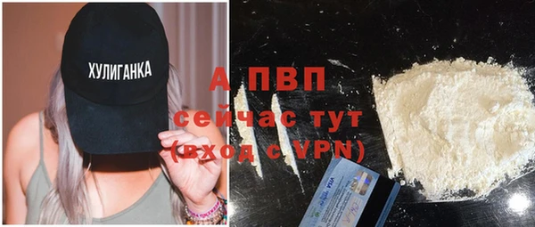 ГАЛЛЮЦИНОГЕННЫЕ ГРИБЫ Заречный